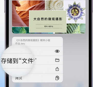 阿拉尔农场apple维修中心分享iPhone文件应用中存储和找到下载文件