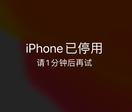 阿拉尔农场苹果手机维修分享:iPhone 显示“不可用”或“已停用”怎么办？还能保留数据吗？ 