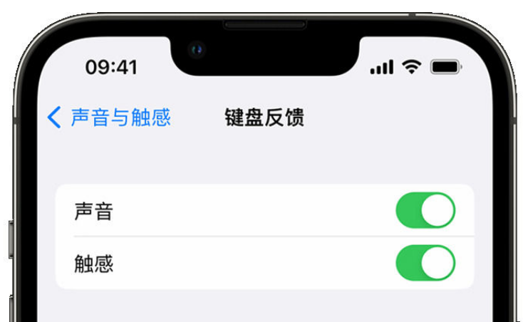 阿拉尔农场苹果手机维修分享iPhone 14触感键盘使用方法 