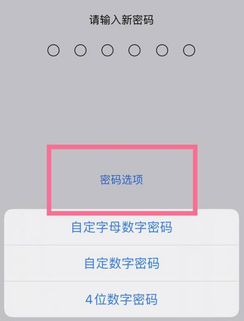 阿拉尔农场苹果14维修分享iPhone 14plus设置密码的方法 