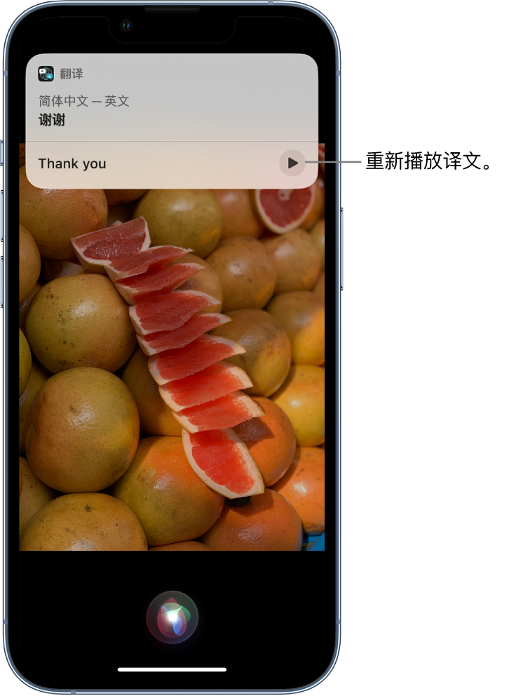 阿拉尔农场苹果14维修分享 iPhone 14 机型中使用 Siri：了解 Siri 能帮你做什么 