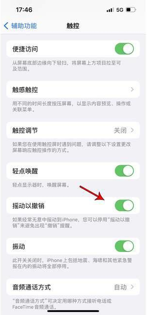 阿拉尔农场苹果手机维修分享iPhone手机如何设置摇一摇删除文字 